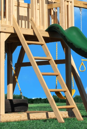 Observer Swing Set