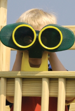 Observer Swing Set