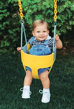 Observer Swing Set