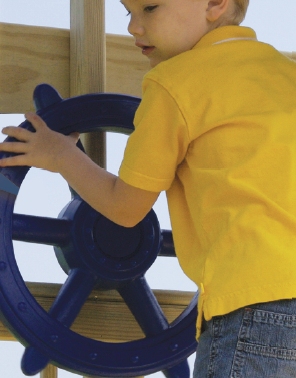 Observer Swing Set