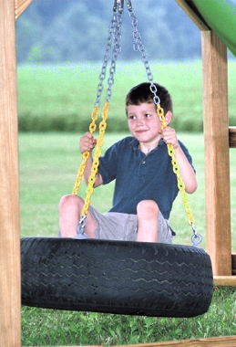 Observer Swing Set