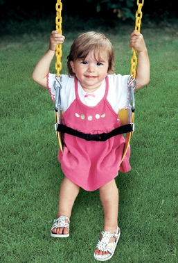 Observer Swing Set