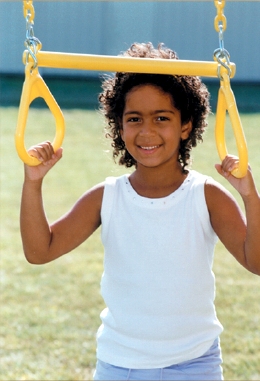 Observer Swing Set